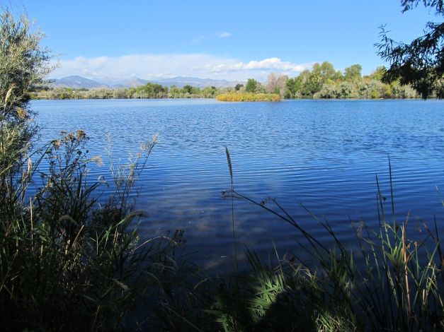 Rivers Edge Natural Area Pond