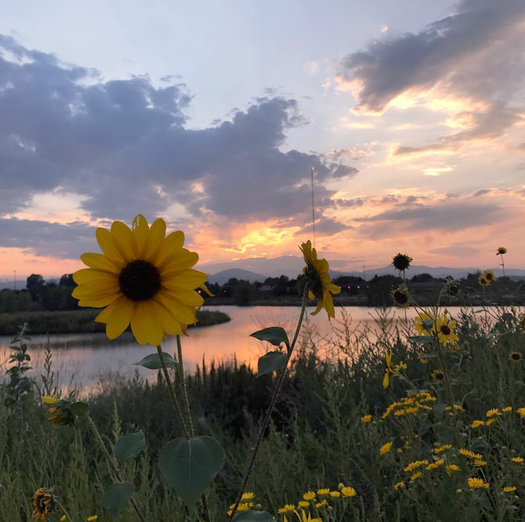 Rivers Edge Natural Area