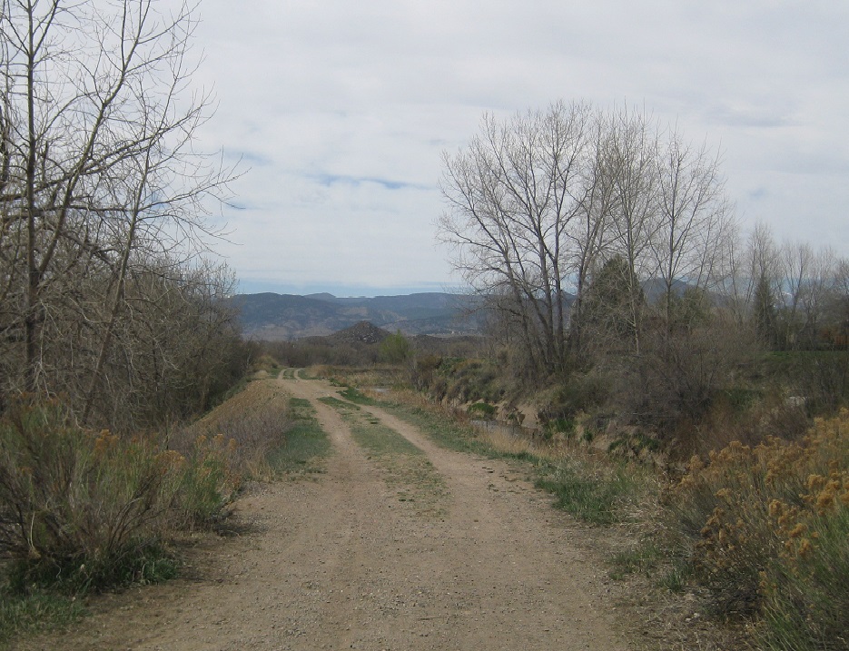 Unpaved trail corridor