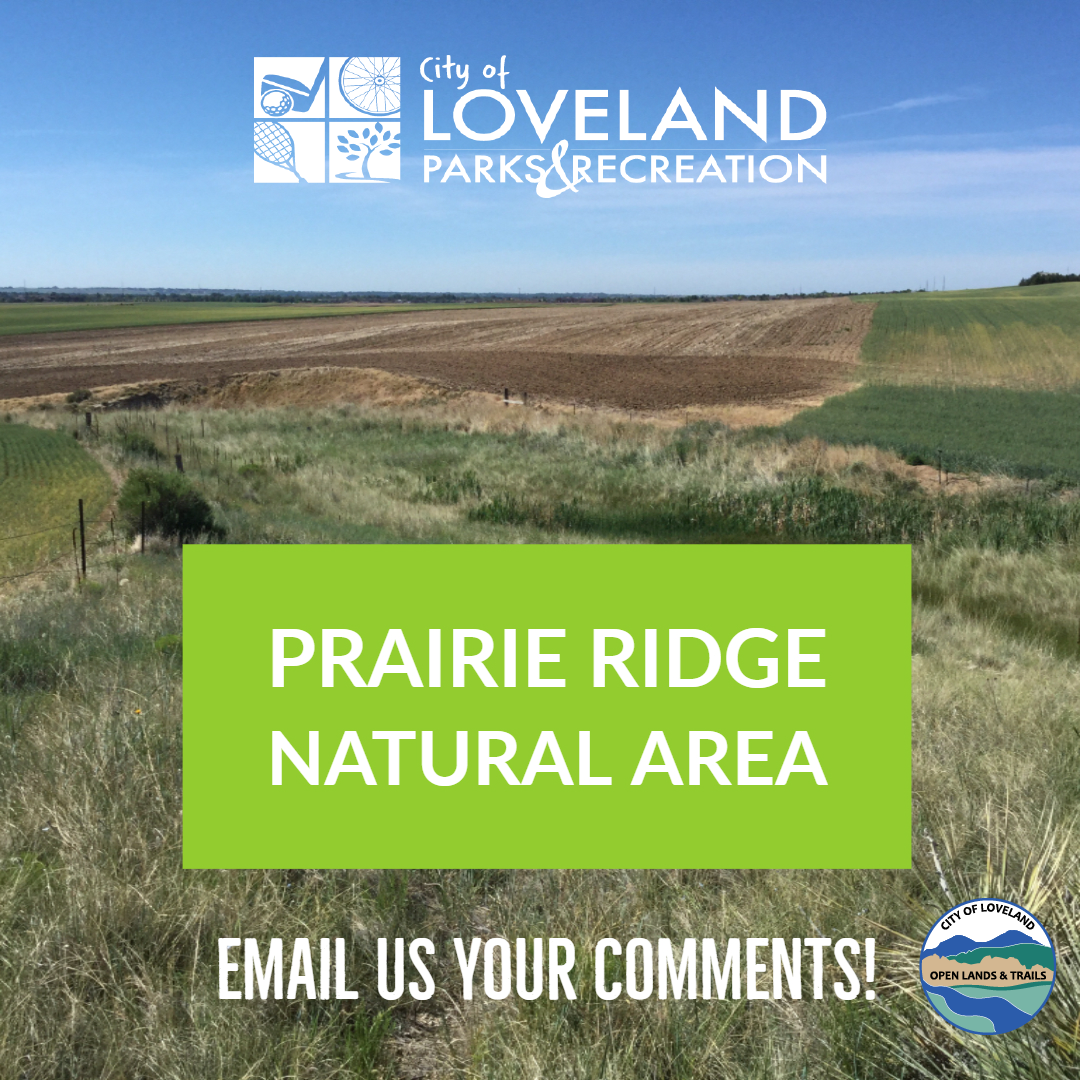 Prairie Ridge Public Commenting