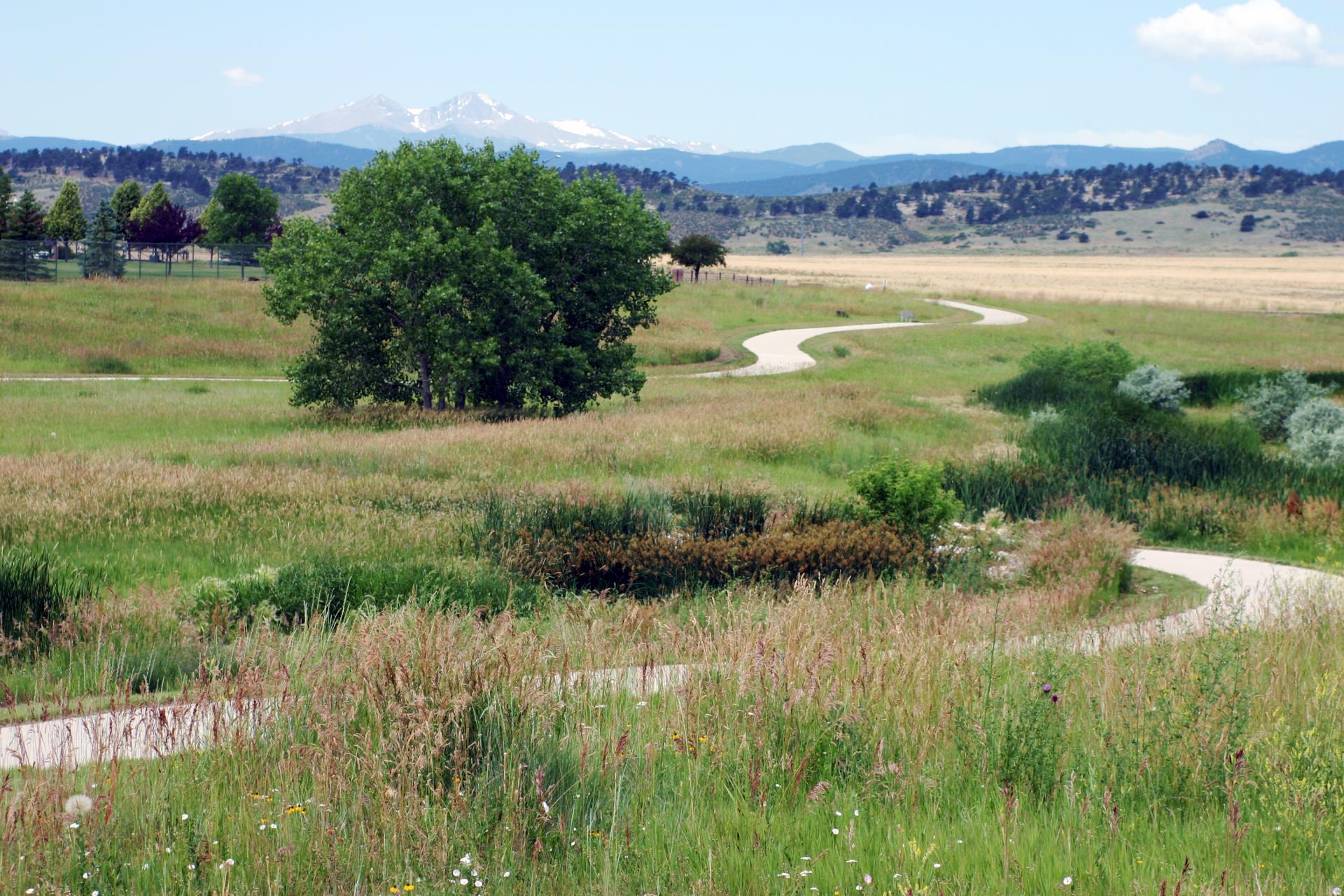 Emerald Glen Trail