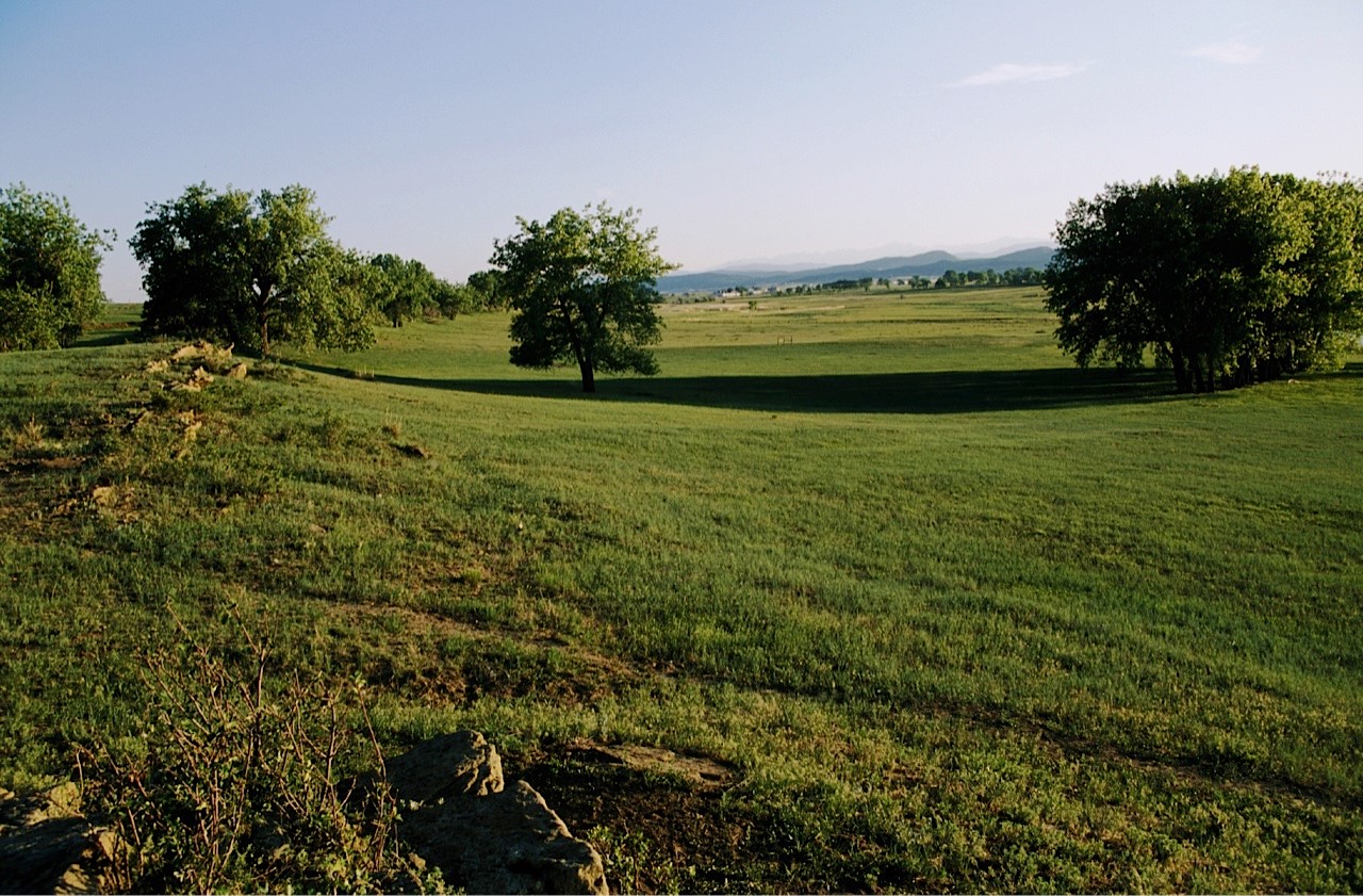 Eagle Vista Natural Area