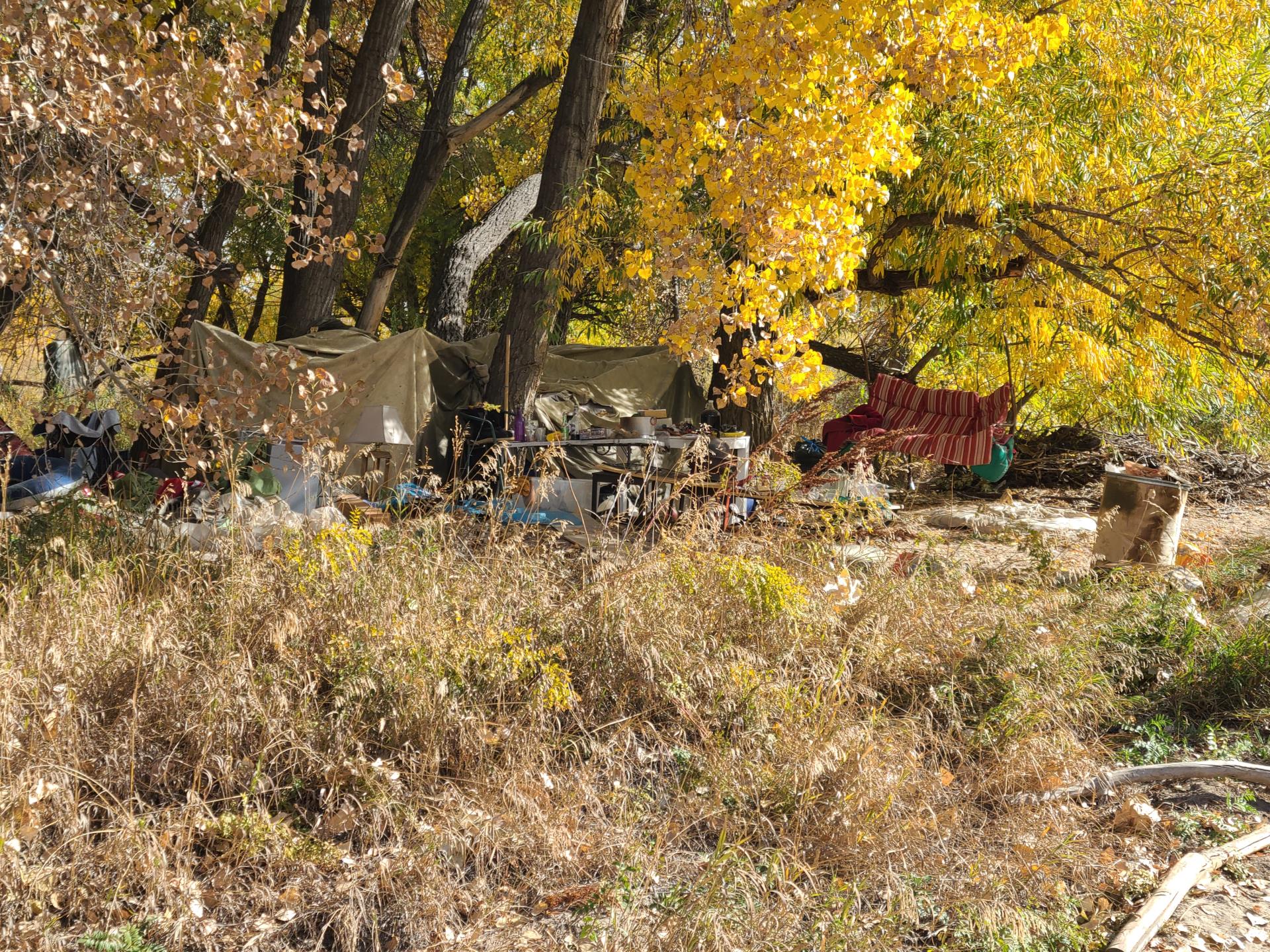 A tent sits among the grass at King’s Crossing Natural Area, currently Loveland’s largest unauthorized encampment area.