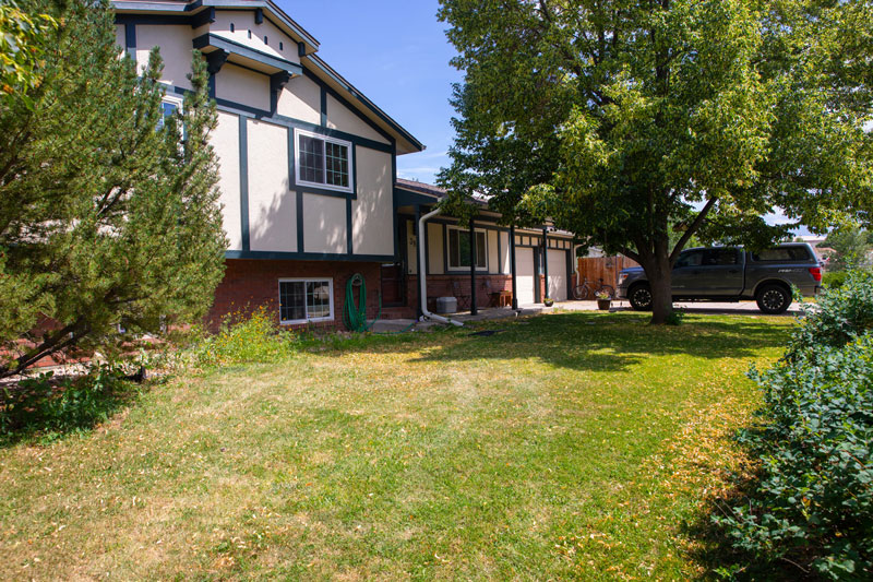 Trees, shrubs, weeds and grass at a homeowner's residence.