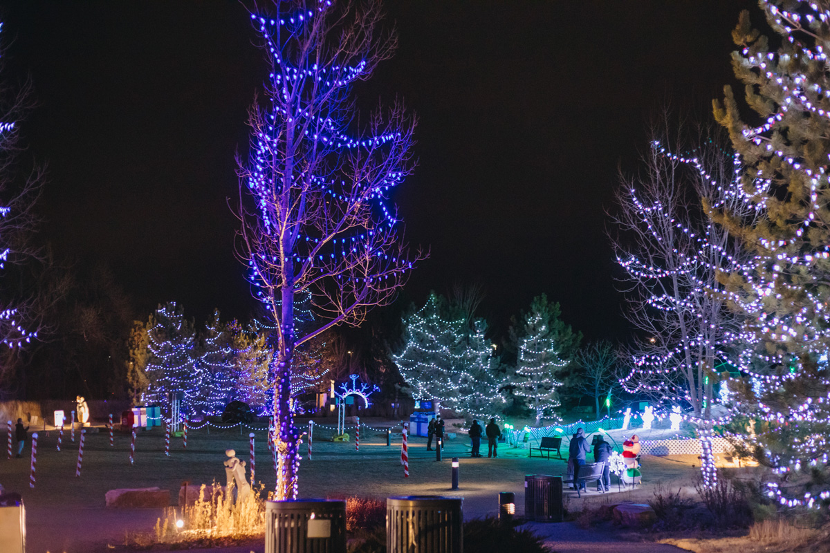 Trees dressed in strings of lights at night. There is snow on the ground.