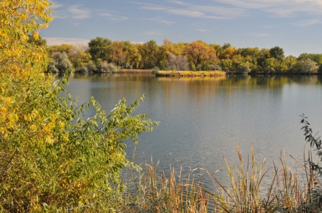 River's Edge Natural Area - Before