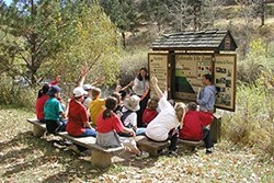 Children participate and learn